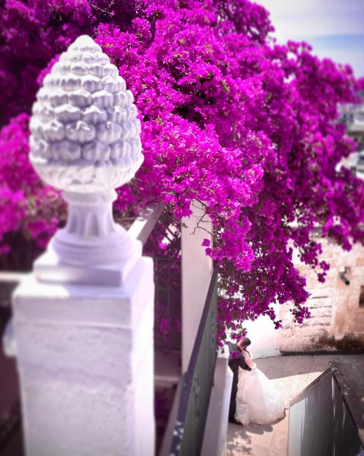 Le Dimore In Piazzetta 马萨夫拉 外观 照片