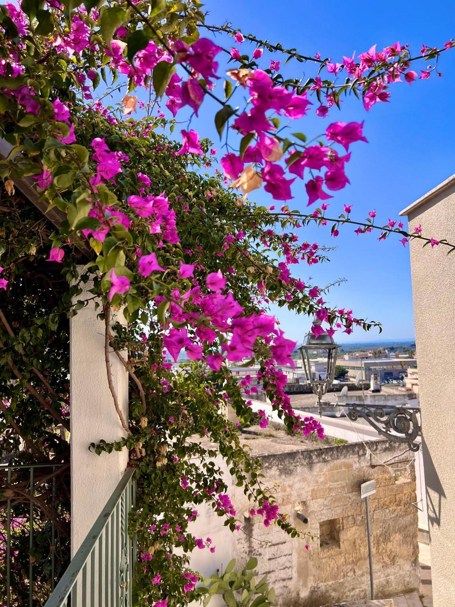 Le Dimore In Piazzetta 马萨夫拉 外观 照片